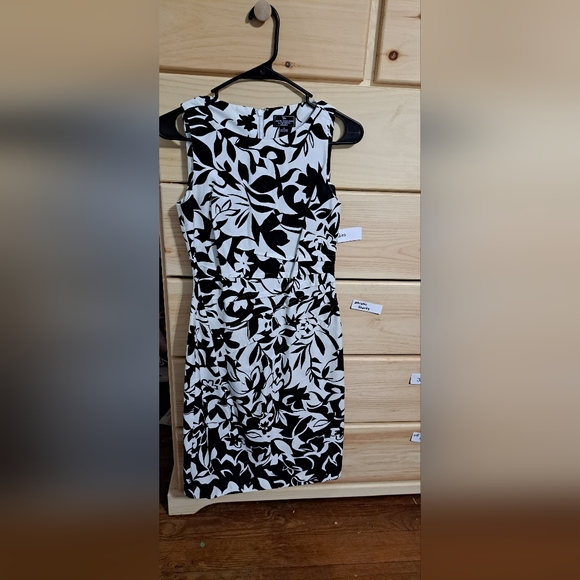 American Living dress size 2 black and white - Picture 1 of 3